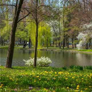 fotogerçekçi örnek resim 1